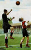 100 JAAR FEYENOORD