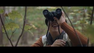 Hawkeyes Still 2