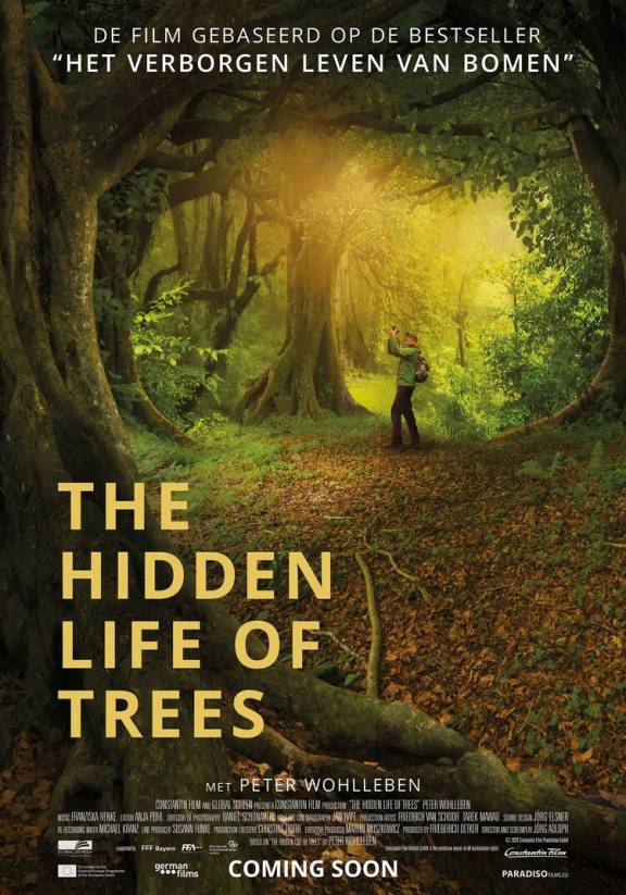 Filmposter documentaire The Hidden Life of Trees