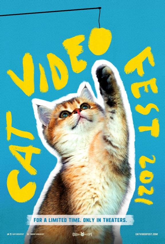 Filmposter Cat Video Fest 2021