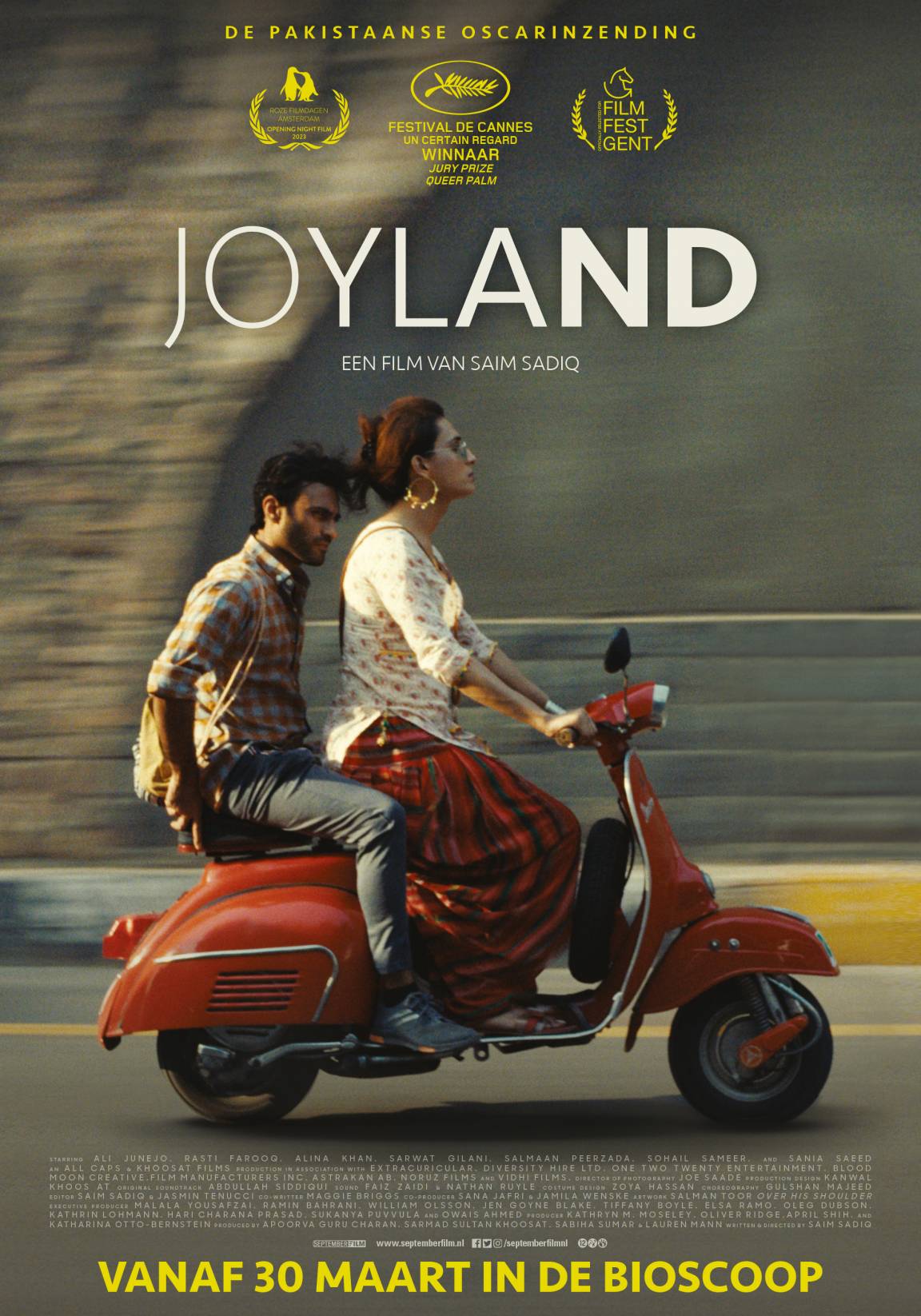 Filmposter Joyland